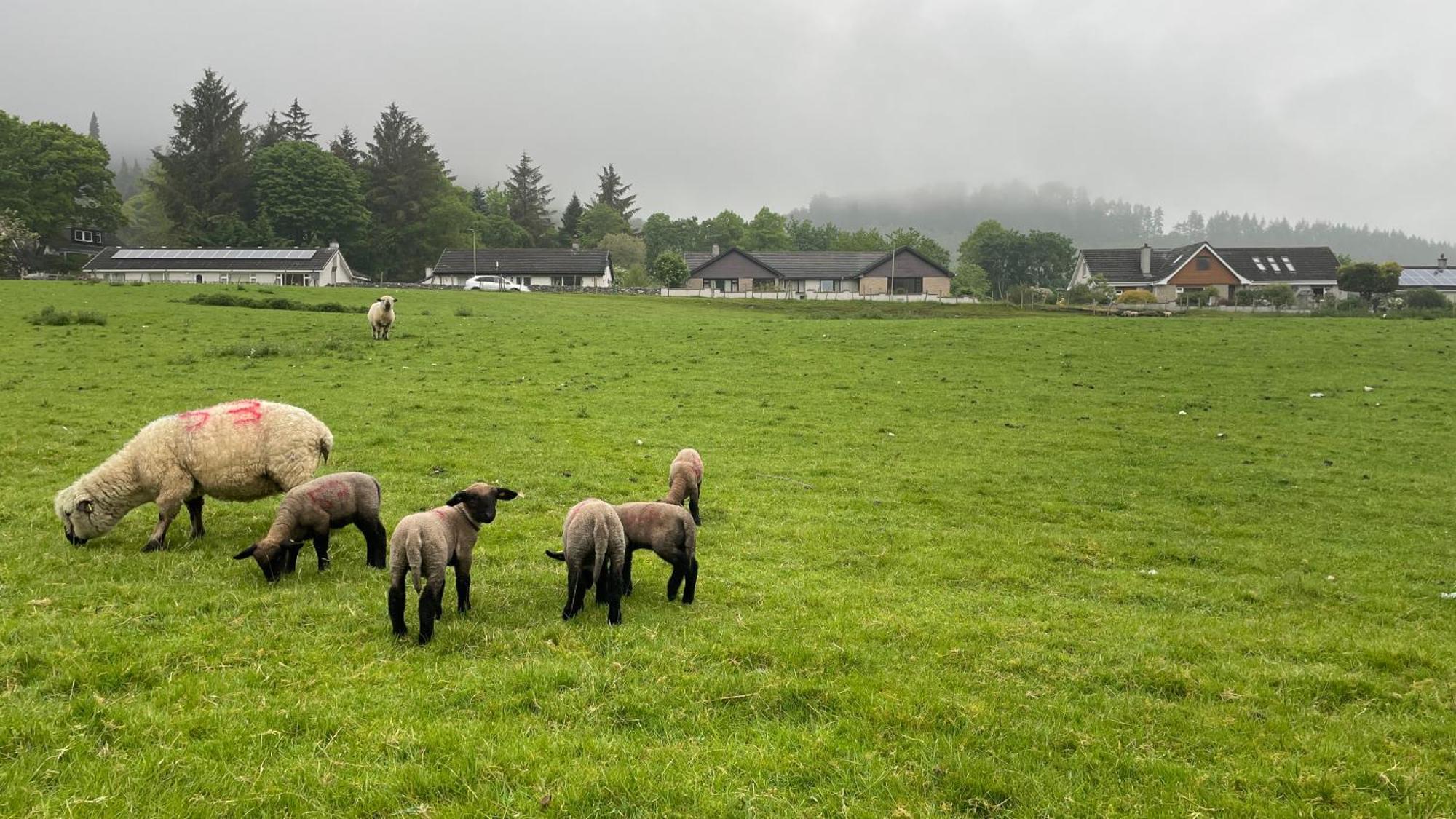 LewistonHideaway Pod Near Loch Ness For A Tranquil Retreatアパートメント エクステリア 写真